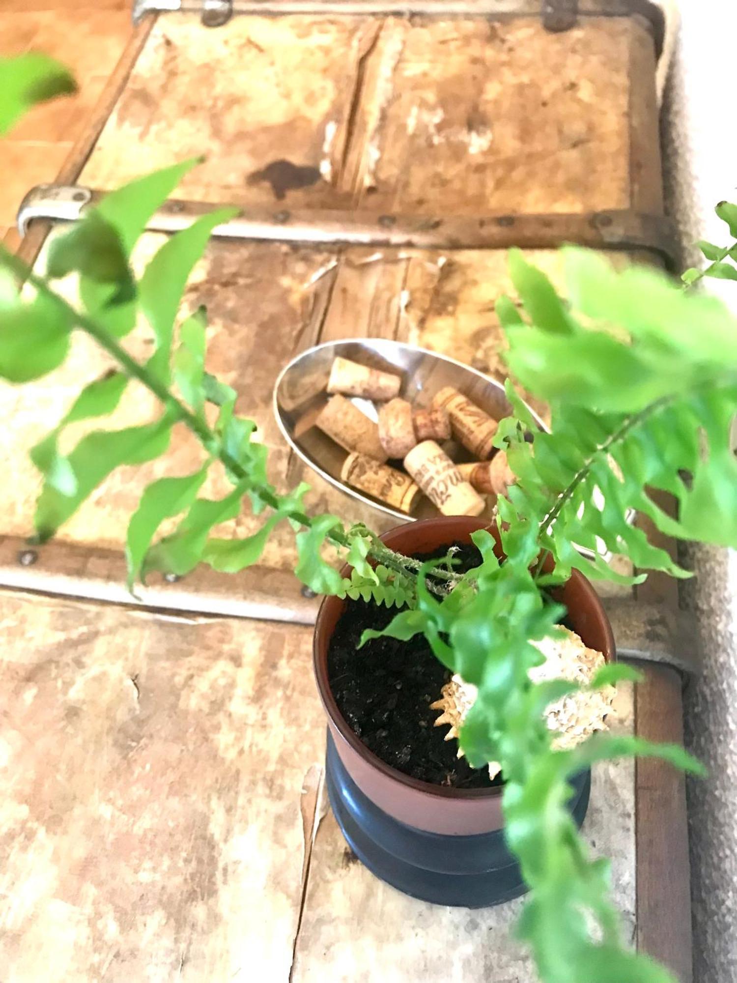 Enam Room Kojsko Ngoại thất bức ảnh
